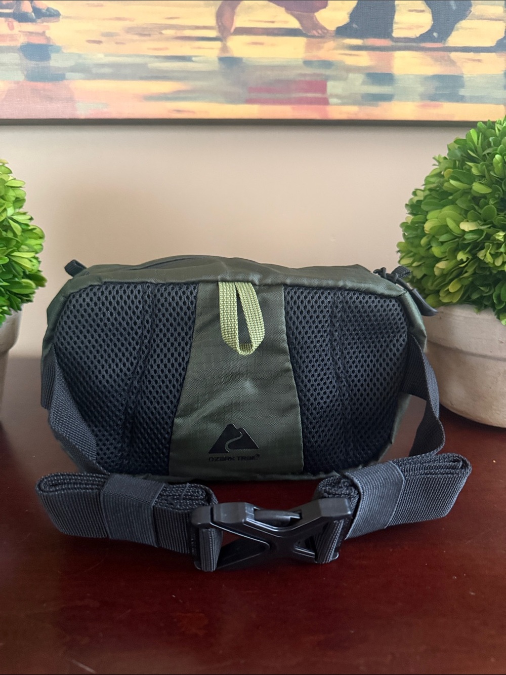 OZARK TRAIL Outdoor Equipment OLIVE GREEN WAIST PACK BAG 🌟NWT🌟 - Picture 12 of 16